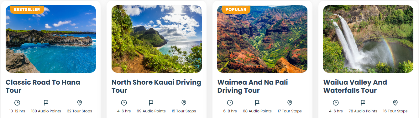 Hawaii Tour 4 shaka guide 5