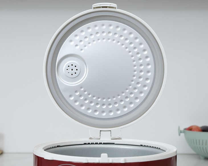 cuckoo_0000s_0000_cr-1001v_rdwhcrvncv-min cuckoo 0000s 0000 cr 1001v rdwhcrvncv min