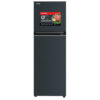 Tủ lạnh Toshiba Inverter 253 Lít GR-RT329WE-PMV(52) 2 gr rt329we 4