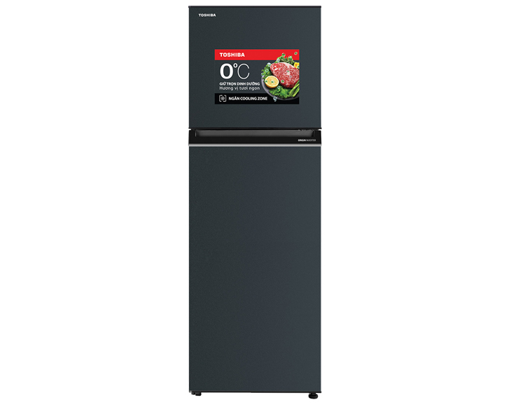 Tủ lạnh Toshiba Inverter 253 Lít GR-RT329WE-PMV(52)