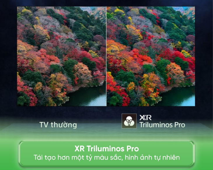 k-xr80-6-min-1 k xr80 6 min 1