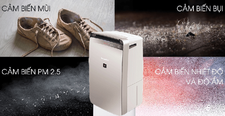 CHÍNH HÃNG] Máy lọc không khí và hút ẩm Sharp DW-J27FV-S | ĐIỆN MÁY TÂY HỒ