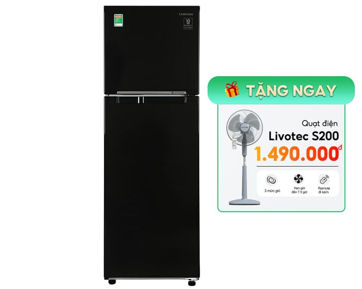 Tủ lạnh Samsung Inverter 256 Lít RT25M4032BU/SV