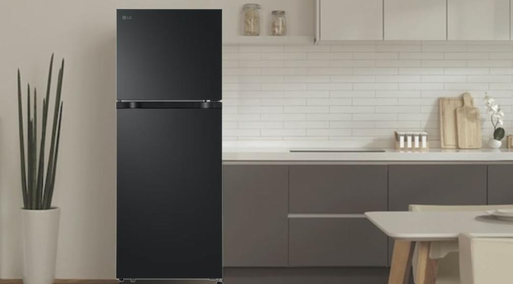 Tủ lạnh LG 217 lít LTB21BLMD