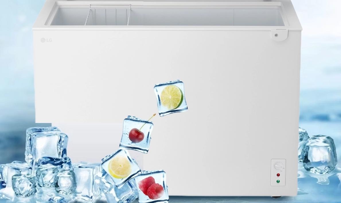Tủ Đông LG Inverter 219 lít C30WH
