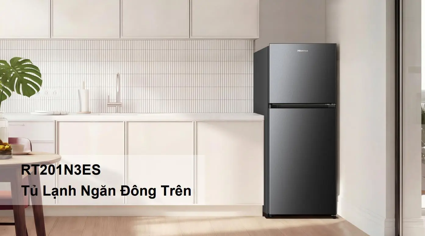 Tủ lạnh Hisense Inverter 205 Lít RT201N3ES