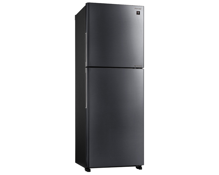 sj-xpae-ds-1-1 sj xpae ds 1 1