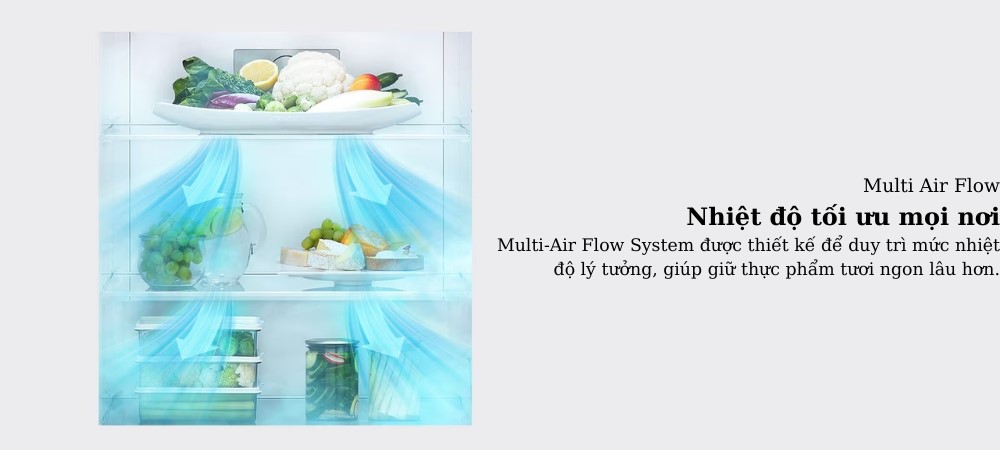 Công nghệ làm lạnh đa chiều Multi-Air Flow trên Tủ Lạnh LG LTB26BLM