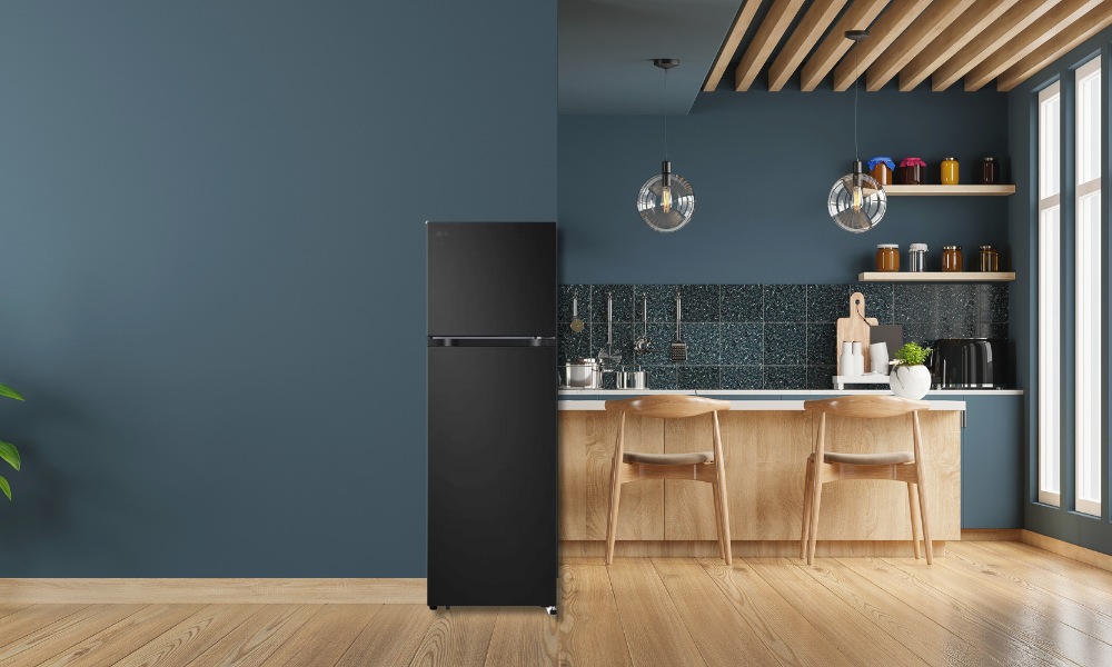 Tủ Lạnh LG Inverter 266 Lít LTB26BLM