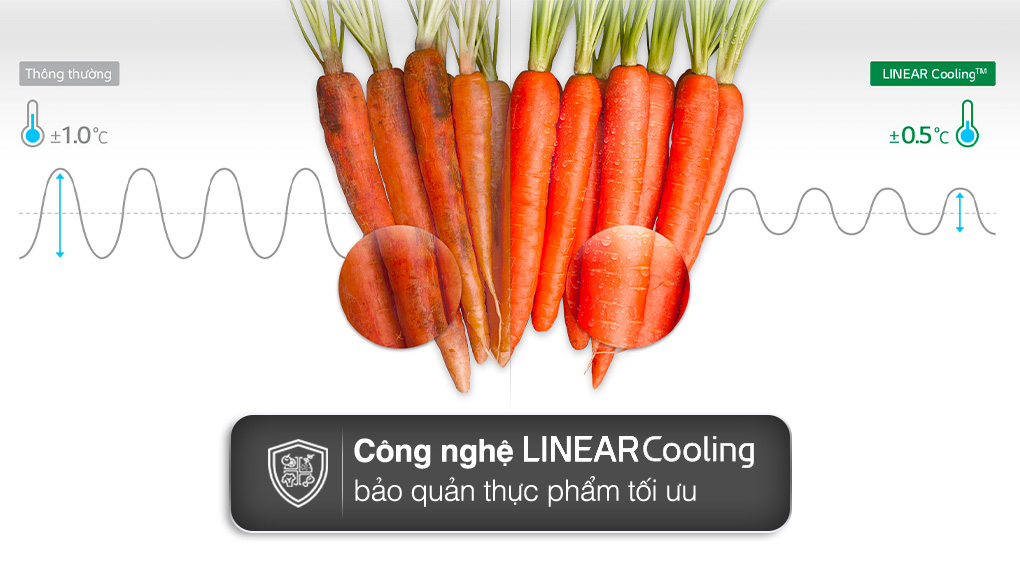 Tủ lạnh LG Inverter 519 lít GR-B256BL Tủ lạnh LG Inverter 519 lít GR-B256BL