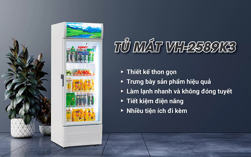 Tủ Mát Sanaky Inverter 240 Lít VH-2589K3